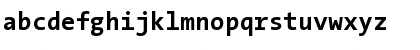 The Sans Mono- Regular Font