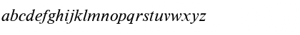 Tms Italic Font