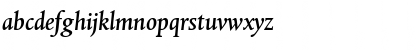 DTLAlbertinaT ItalicMedium Font