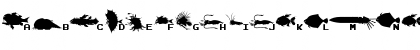 GAIDEN Regular Font