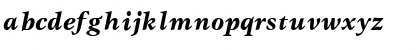 Gamma Bold Italic Font