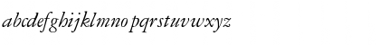 GaramondRepriseSSK Italic Font