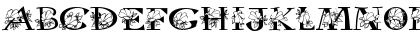 Hibiscus Regular Font