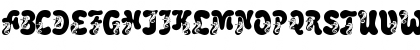 LMS Coral Colt Regular Font