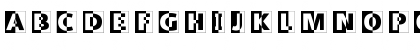 LogoHalfnHalf Regular Font