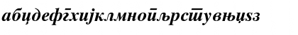 MAC C Times Bold Italic Font