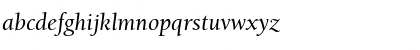 BerkeleyOldStyItcTMed Italic Font