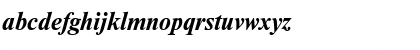 NewtonBTT BoldItalic Font