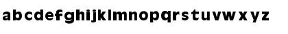 Niagara Regular Font