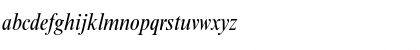 NimbusRomNo9TCon Italic Font