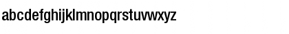 NimbusSanNovDSemBolCon Regular Font