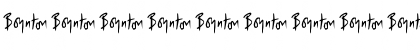 Boynton Bats Regular Font