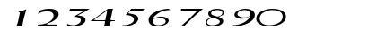 DriscollSSK Italic Font