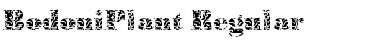 BodoniPlant Regular Font