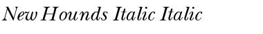 NewBaskerville Italic Font