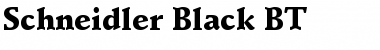 Download Schneidler Blk BT Font