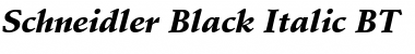 Schneidler Blk BT Black Italic Font