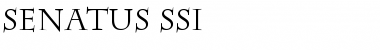 Senatus SSi Regular Font