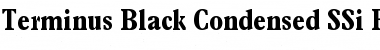 Terminus Black Condensed SSi Bold Condensed Font