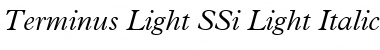 Terminus Light SSi Light Italic Font