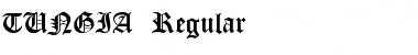 TUNGIA Regular Font