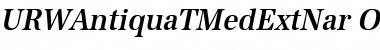 URWAntiquaTMedExtNar Oblique Font