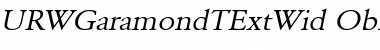 URWGaramondTExtWid Oblique Font