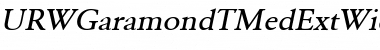 URWGaramondTMedExtWid Oblique Font