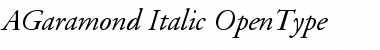 Adobe Garamond Italic Font