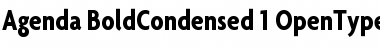 Agenda BoldCondensed Font