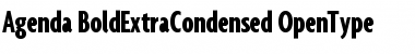 Agenda BoldExtraCondensed Font