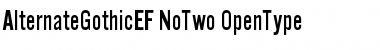 AlternateGothicEF NoTwo Font