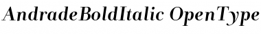 AndradeBoldItalic Regular Font