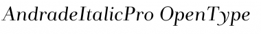 Download AndradeItalicPro Font