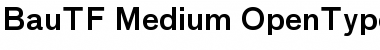 BauTF-Medium Regular Font