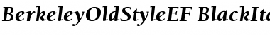 BerkeleyOldStyleEF BlackItalic Font