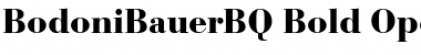 Download Bodoni Bauer BQ Font