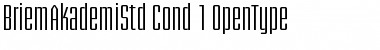 Briem Akademi Std Condensed Font