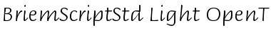 Briem Script Std Light Font