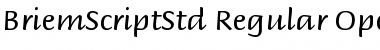 Download Briem Script Std Font