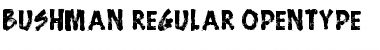 Bushman Regular Font