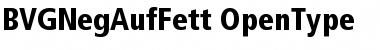 BVGNegAufFett Regular Font