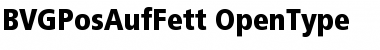 BVGPosAufFett Regular Font