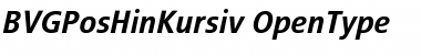 Download BVGPosHinKursiv Font