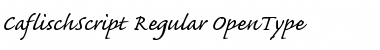 Caflisch Script Regular Font