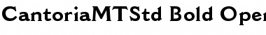 Download Cantoria MT Std Font