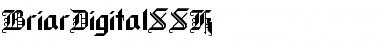 BriarDigitalSSK Regular Font