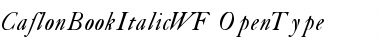 CaslonBookItalicWF Regular Font