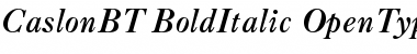 Caslon Bold Italic Font