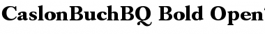 Download Caslon Buch BQ Font